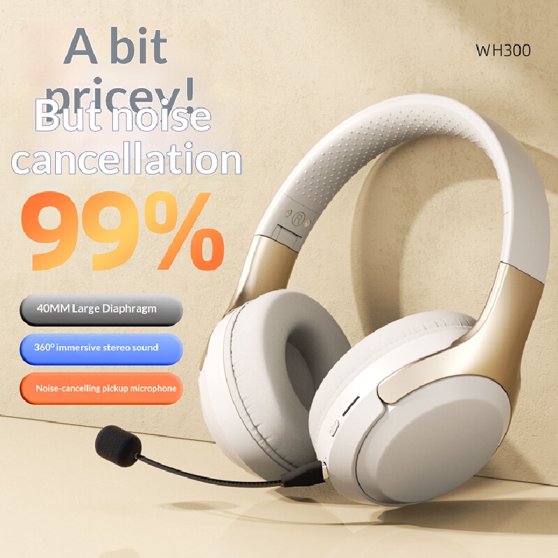 Auriculares inalámbricos Bluet - Phone Accessories Officeworks reseña y precio